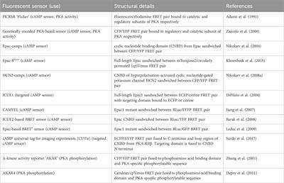 Investigating G-protein coupled receptor signalling with light-emitting biosensors